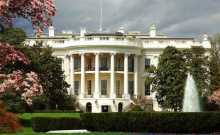 Tesla Foundation, UAVSA CEO, and others meet following White House drone crash