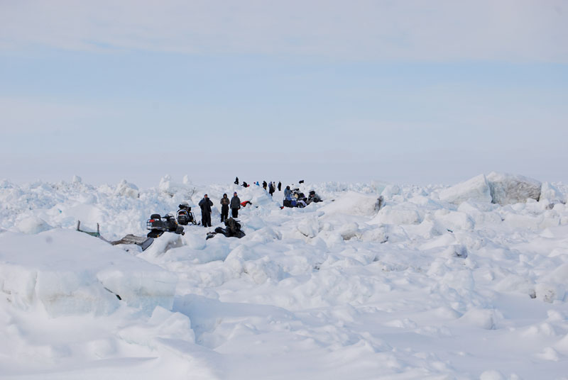 RotorDrone - Drone News | Drones & Conservation: Monitoring Arctic Sea Ice