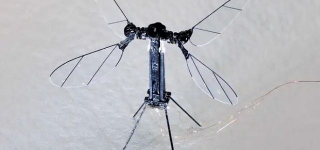 Tiny Solar-Powered Drone