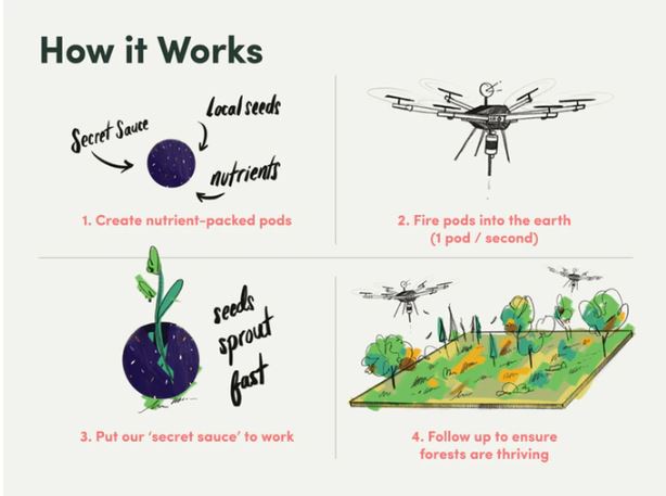 RotorDrone - Drone News | Flash Forest to Plant 1 Billion Trees
