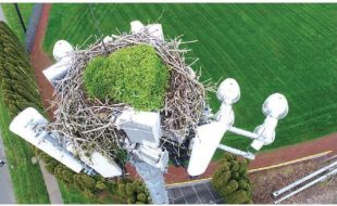 Mission Profile: 3D Mapping An Osprey Nest (On a Cell Tower!)