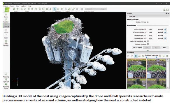 RotorDrone - Drone News | Mission Profile: 3D Mapping An Osprey Nest (On a Cell Tower!)